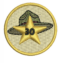Spejder 30 år