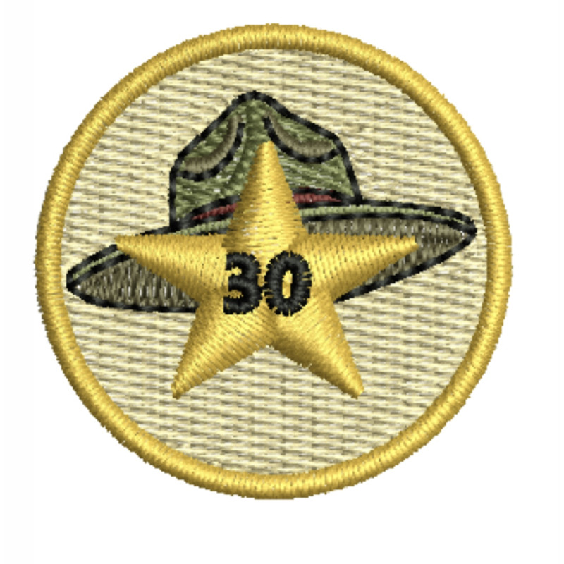 Spejder 30 år
