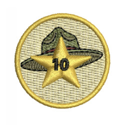 Spejder 10 år
