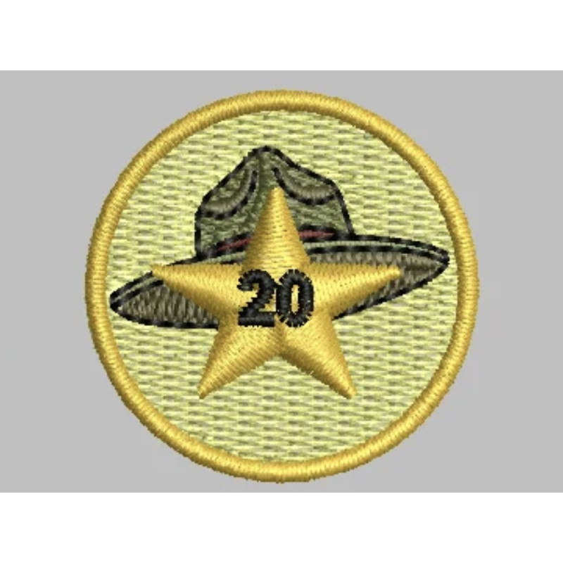 Spejder 20 år